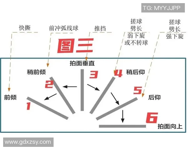 乒乓球传奇揭秘:深入上海乒乓球队的比赛策略与经验分享
